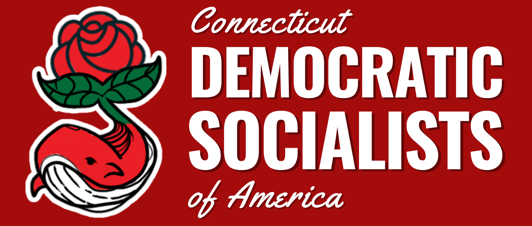 Connecticut DSA