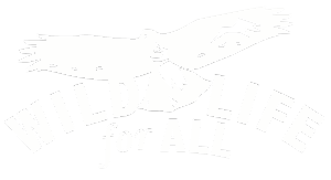 Wildlife for All
