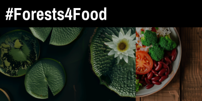 #Forests4Food