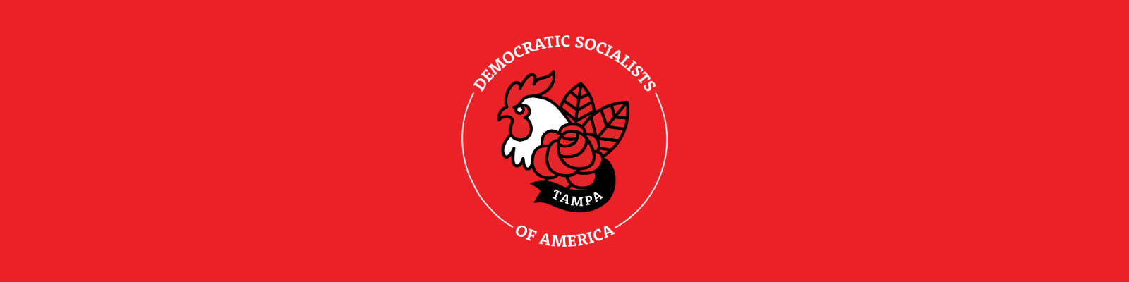 Tampa DSA