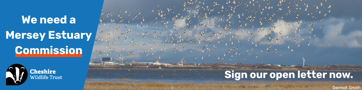 Cheshire Wildlife Trust
