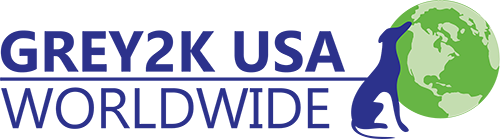 GREY2K USA Worldwide