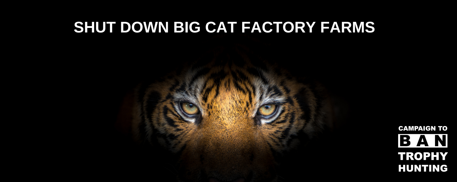 Banner_an_petition_shut_down_big_cat_factory_farms