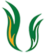 Logo-only_usffapt_94x109_trans