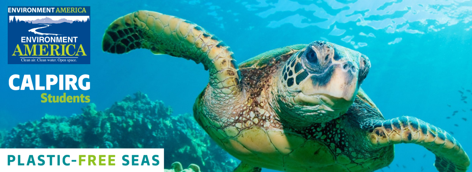 PlasticFree Whole Foods