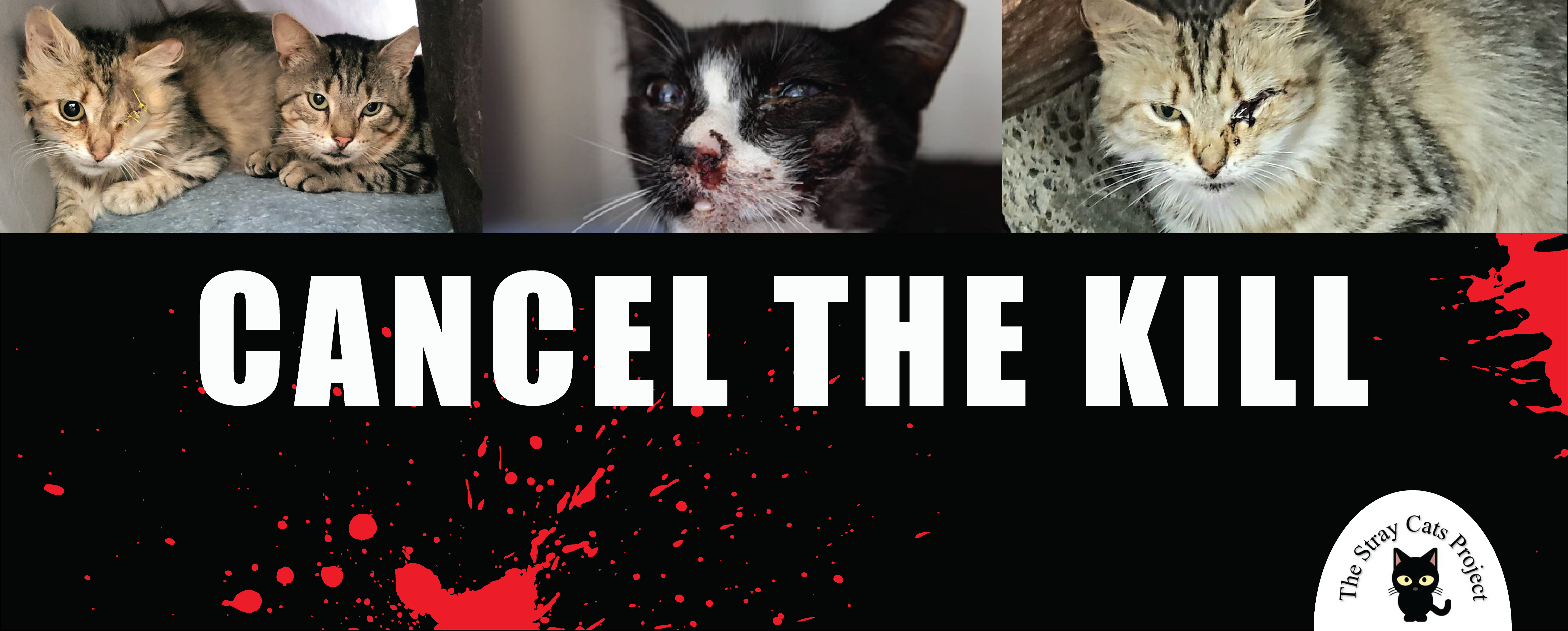 Cancel-the-kill-02