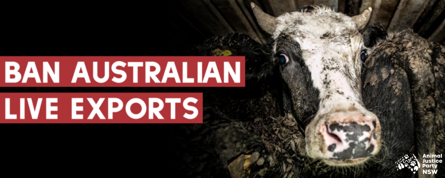 Ban Australia's Live Exports Action Network