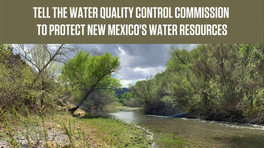 Protect New Mexico's Water Resources