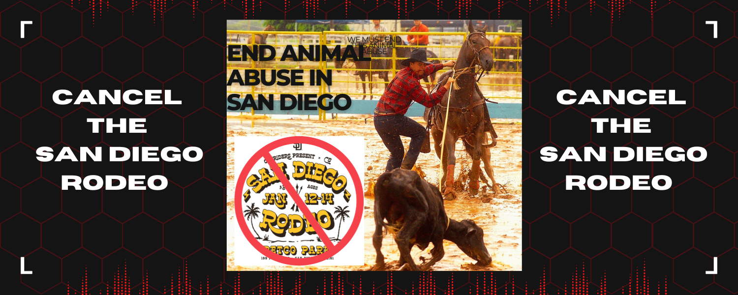 Ban The San Diego Rodeo - Action Network