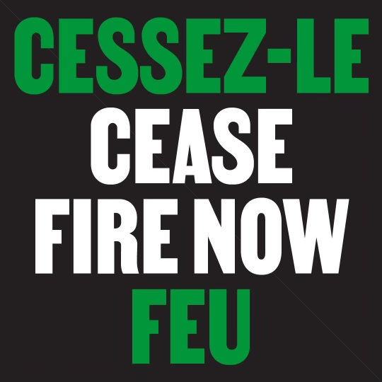 Ceasefire Now, Cessez-le-feu