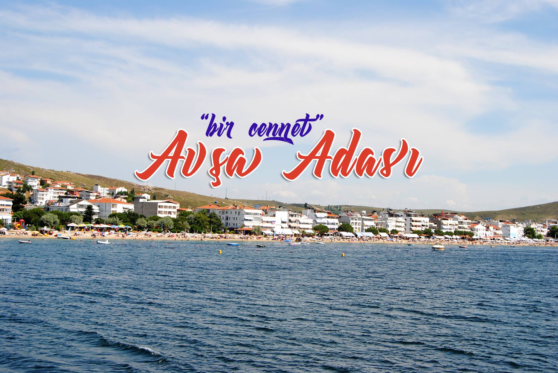 avsaisland.com