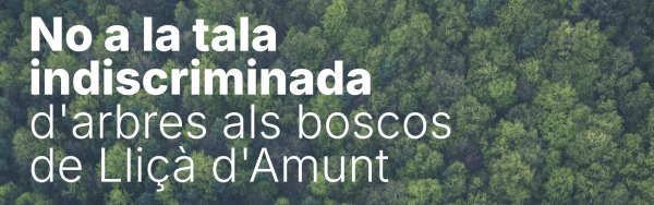 No a la tala indiscriminada d'arbres als boscos de Lliçà d'Amunt