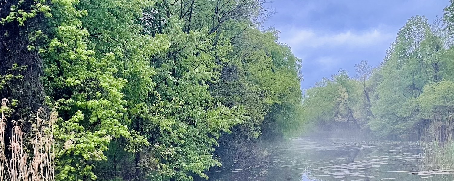 Shedbrook Creek in the FDR Meadows