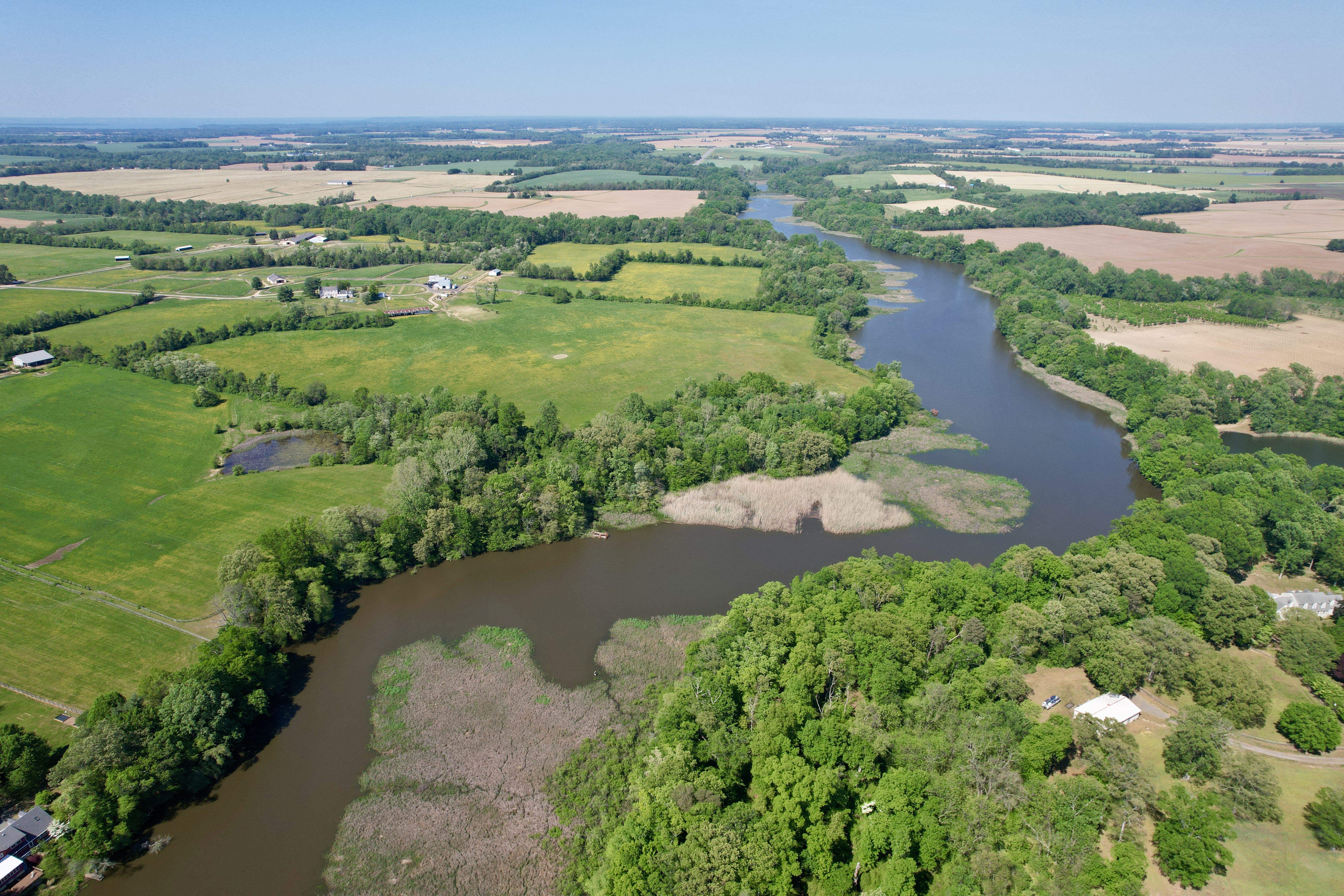 Morgan Creek
