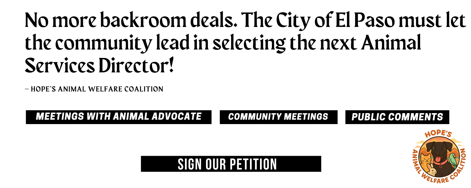 No more backroom deals. The City of El Paso must let the community lead in selecting the next Animal Services Director.