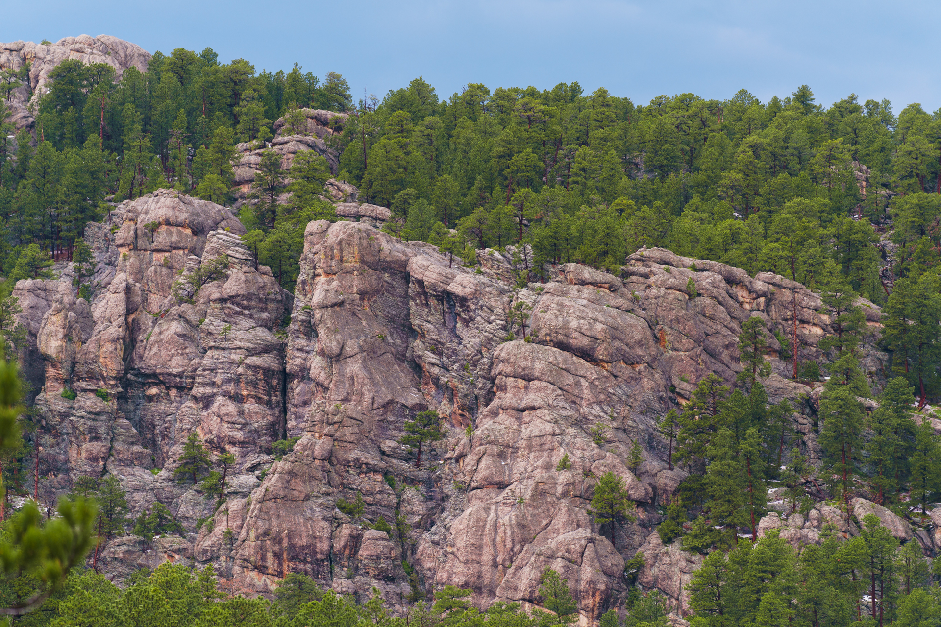 IMAGE OF THE BLACK HILLS, SOUTH DAKOTA