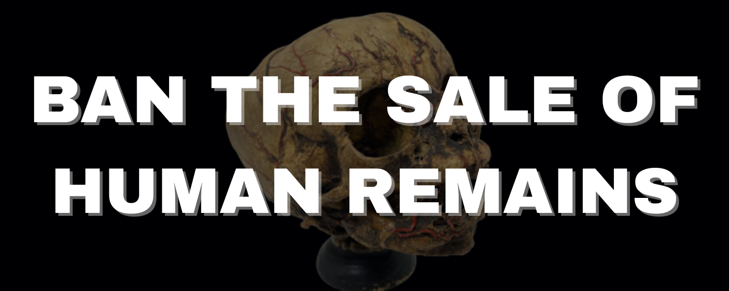Graphic with a skull in the background and text overlaid: 'Ban the Sale of Human Remains'