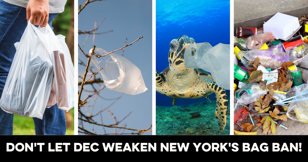 Don't Let the DEC Weaken New York's Plastic Bag Ban! Action Network
