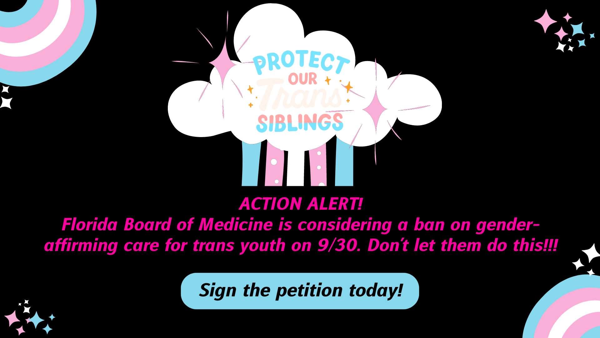 Support Gender Affirming Care for Trans Youth in Florida Action Network