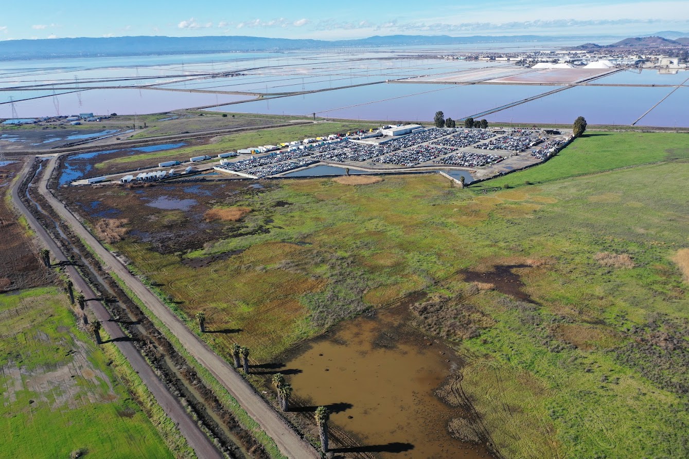 Tell Newark Protect Newark Baylands, Say No to Mowry Village Project