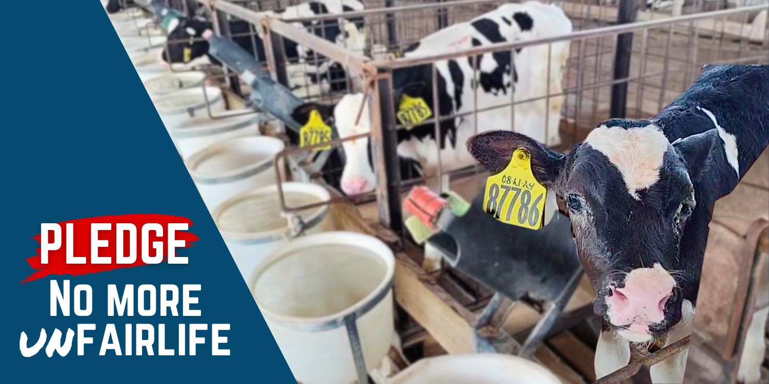 Say No to Cruelty: Pledge to Boycott fairlife