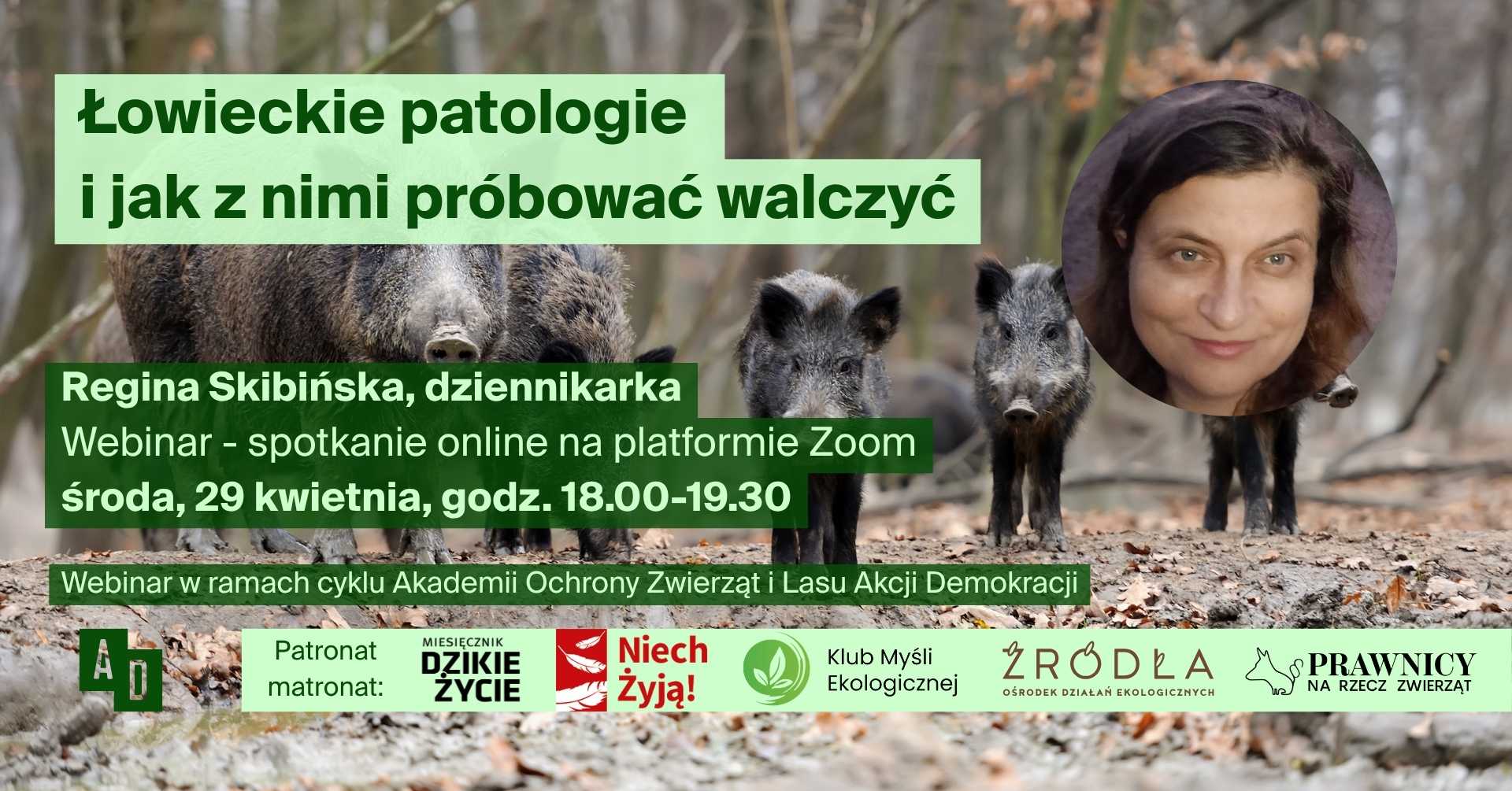 Dołącz do webinaru: Łowieckie patologie i jak z nimi próbować walczyć