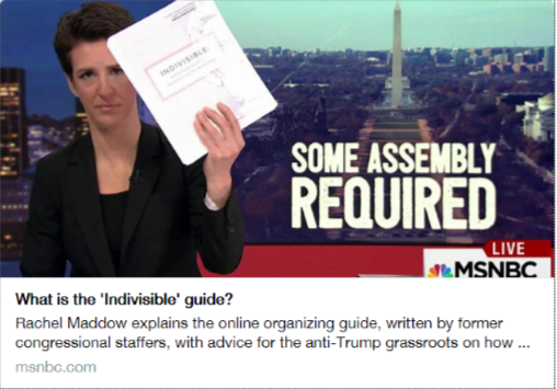 Rachel Maddow: What is the 'Indivisible' Guide?