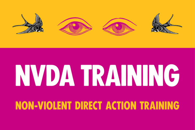 NVDA Training NVDA Training
