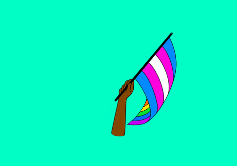 A person waving the LGBTQ flag