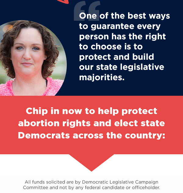 Chip in NOW to help us elect state Democrats across the country >>