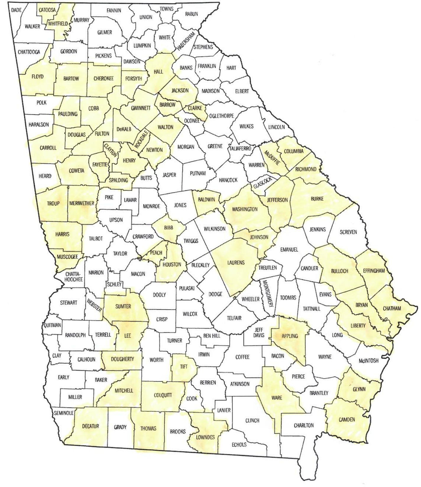 Georgia Team Unity 2022 Mobilization Plan - Action Network