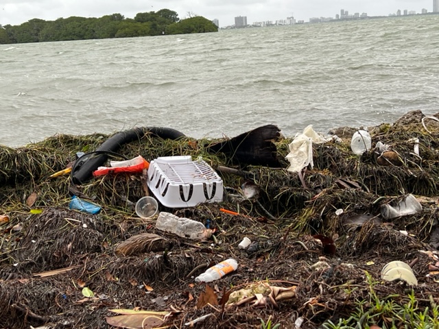 Trash along Biscayne Bay
