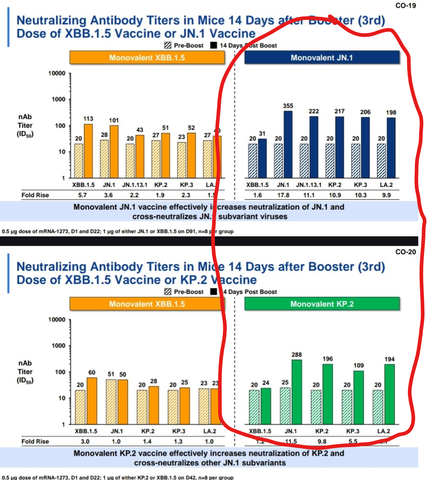 Moderna data testing for JN.1 and KP.2 vaccines with JN.1 showing a slightly stronger response