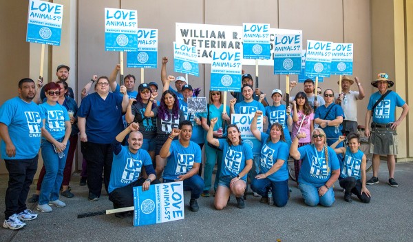UPTE-CWA Vets