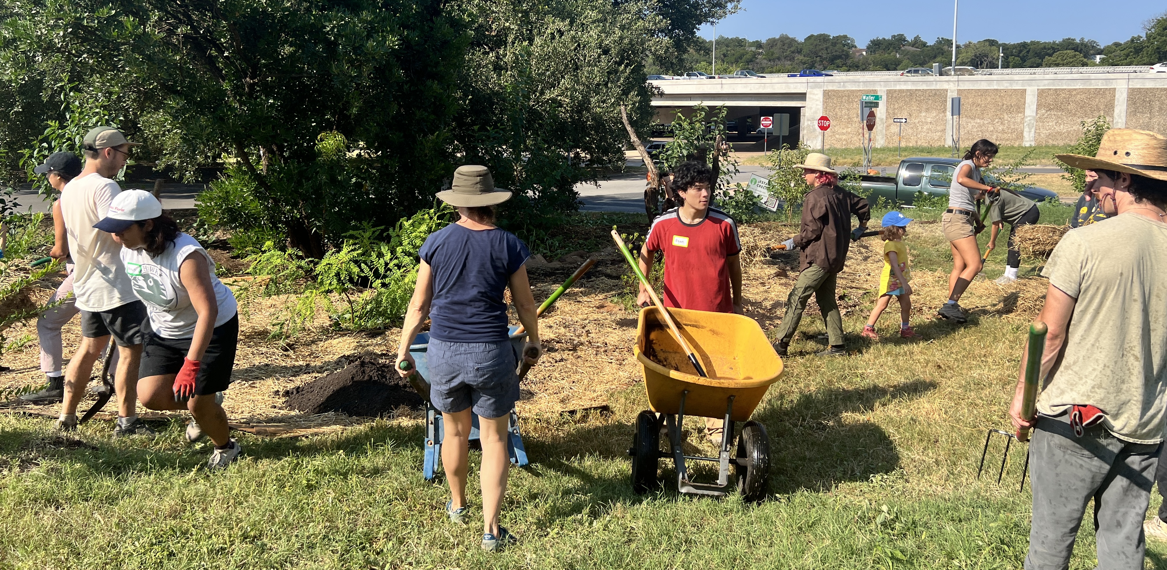 Volunteers stewarding the impacted area of FBFF, August 2025