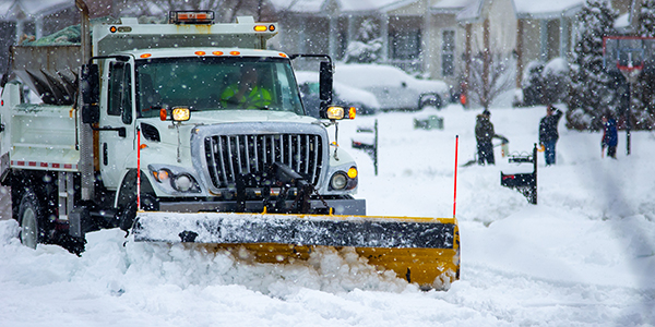 Credit: Philip Rozenski / iStock / Getty Images Plus