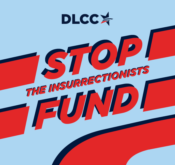 The Stop the Insurrectionists Fund is dedicated to one thing: