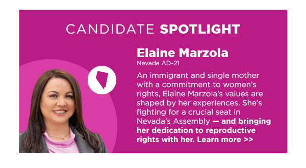 Spotlight Candidate: Elaine Marzola